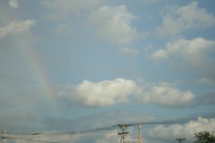 A rainbow!