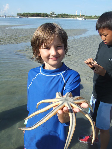 Beau finds a 9 armed starfish!