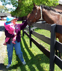 Petting a horse with Grandma