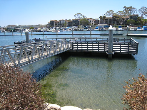 Viewing dock
