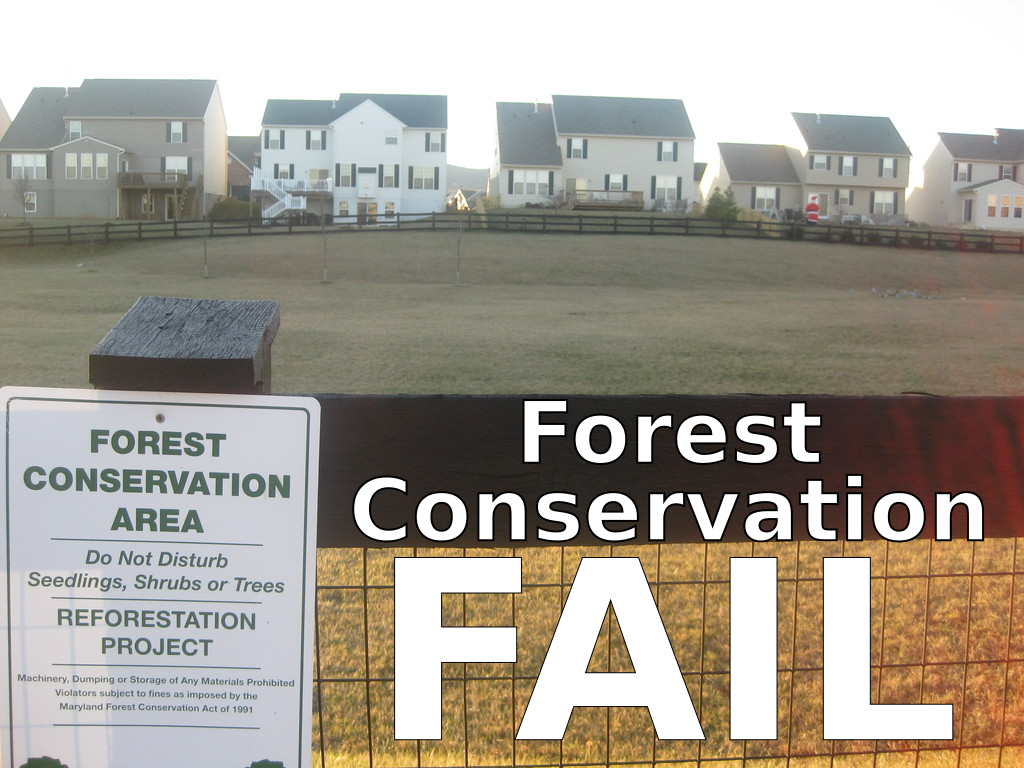 Forest Conservation Fail
