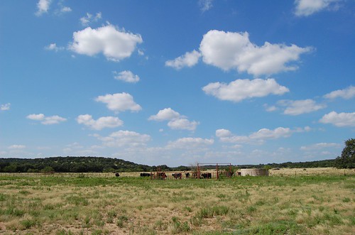 Ranch - Cattle, Horses