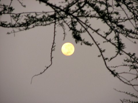 full moon in Lake Manyara