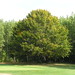 6th hole, Heathlands Golf Course, Onekama, Michigan