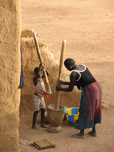 Hitting Rice with Sticks in Mali