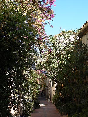 rues fleuries du safranier.jpg
