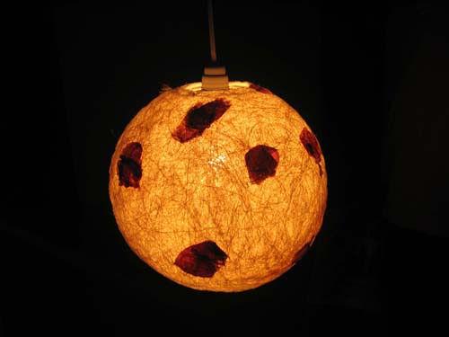 Natural Ceiling Lamp