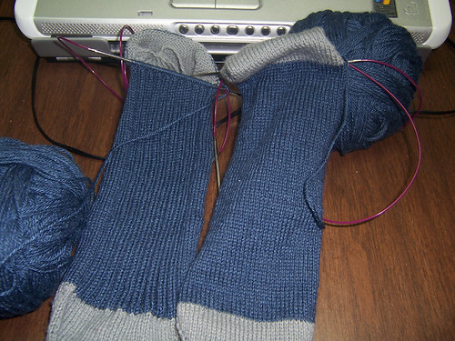 Ravenclaw Ribby Socks