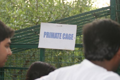 The primate cage in the PfA shelter