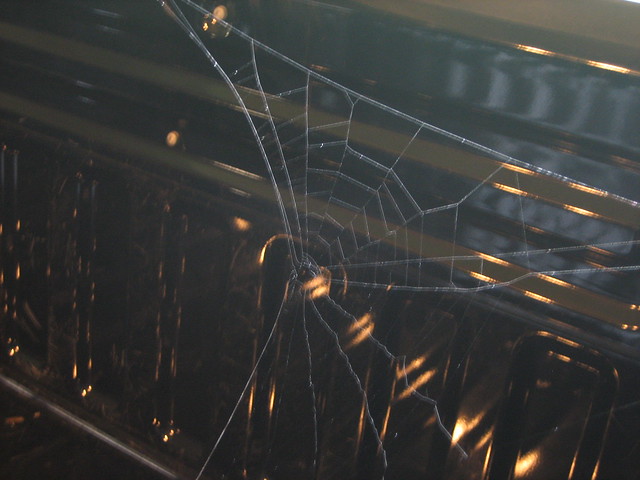 ford truck spiderweb fx4 f150supercrew