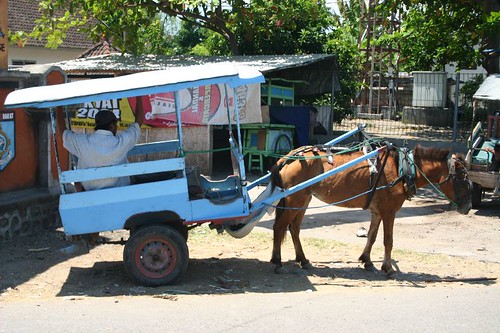 Horse cart on Gili T.