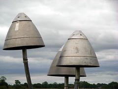 Cotswold mushrooms