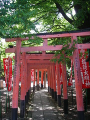Inari Shrine, Tori gates