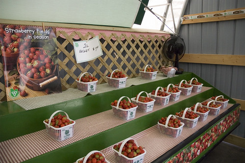 strawberries for sale!