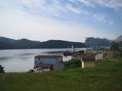 View of Woody Point