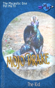 Mojo Drake