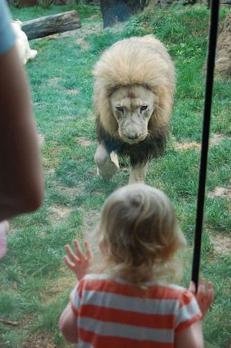 The Lion checks Leda out!
