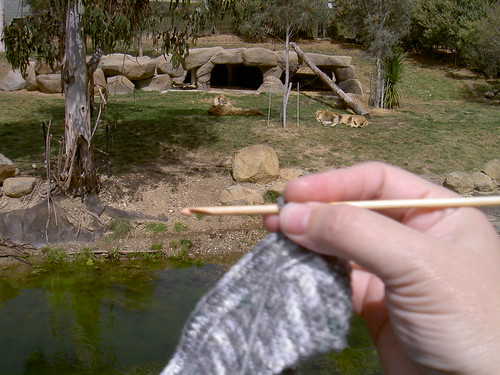Extreme crochet at the zoo
