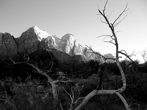 Zion Morning, Zion NP