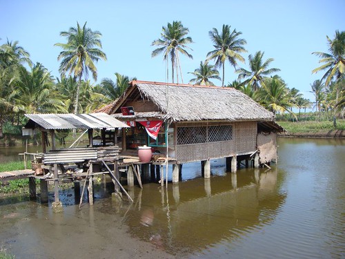 House on stilts. Central Java.