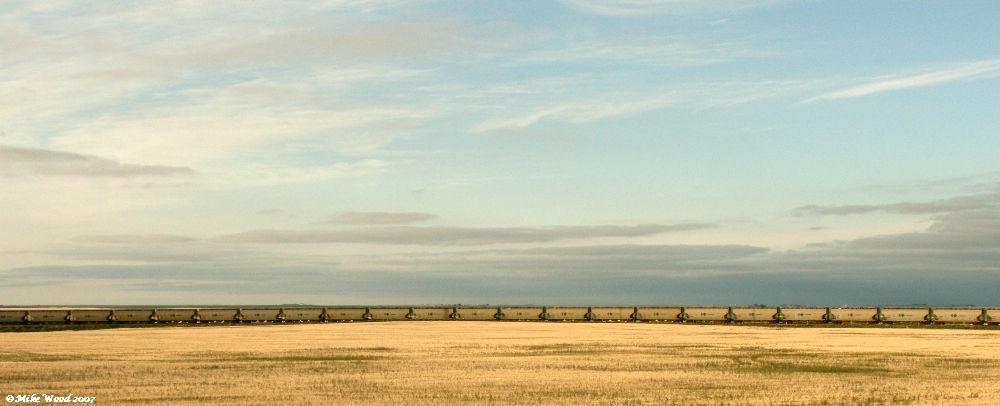 grain train on the plain