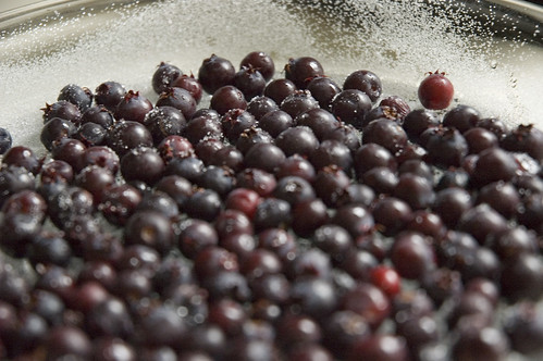 saskatoon berries for clafoutis
