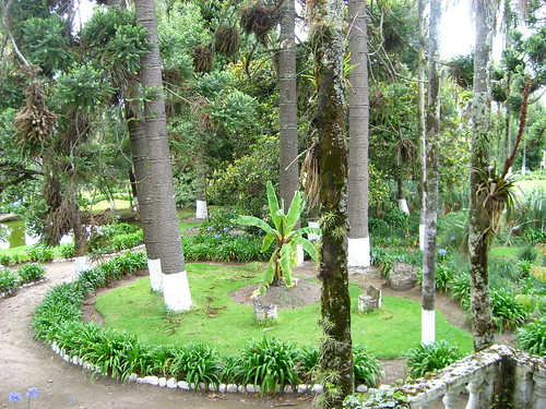 view of gardens from room 8 at hacienda pinsaqui