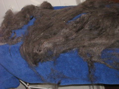 drying fleece