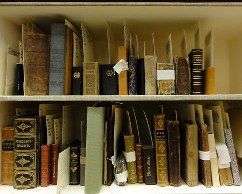 Two shelves of miniature books from the Dibner Library