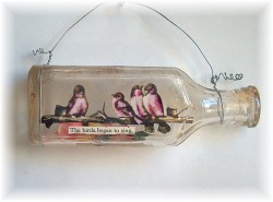 birds in a bottle