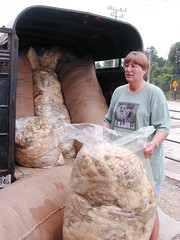 Unloading wool