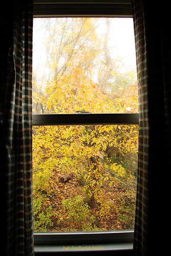 Autumn Window - 319:365