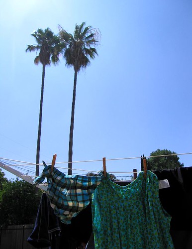 solar clothes drier