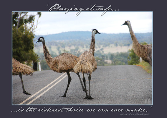 postcard emus e