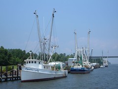 R E Mayo Dock