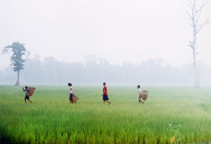 Saturday morning, children make their way through a rice field in Bardiya, Western Nepal, on a September Satruday morning, 2004 by Kashish Das Shrestha