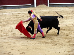 Bullfight 09/09/2007