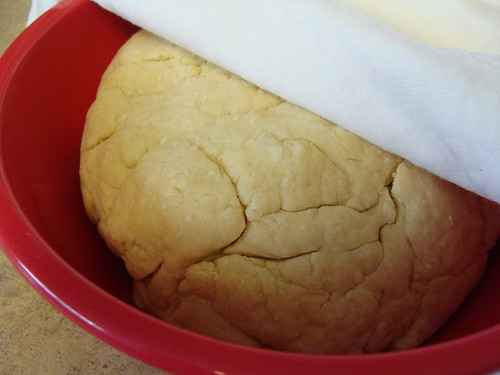resting tortilla dough I (DSC03094)