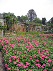 biltmore gardens