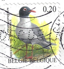 Belgium €0,20