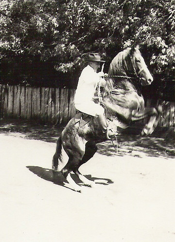 "o cavalo sheik" Sheik montado por João Francisco D Junqueira