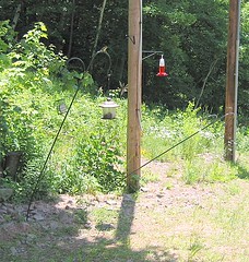 Bent feeder poles