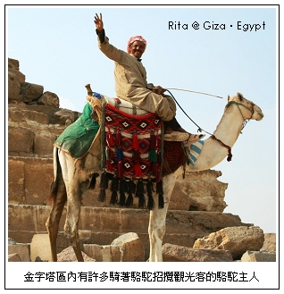 pyrimidine_camel