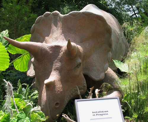 Triceratops Sculpture at National Zoo; Head