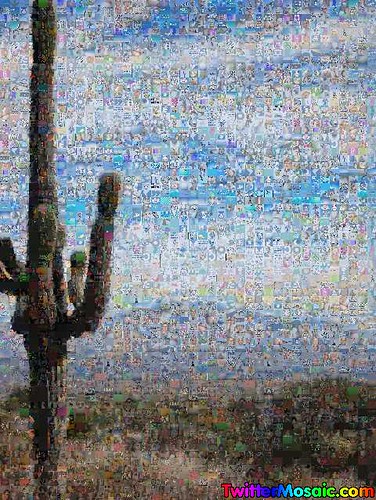 cactus_mosaic_40