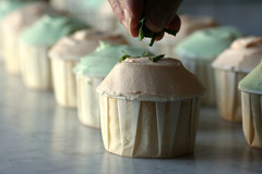 Cantaloupe and Honeydew Cupcakes topped with White Chocolate-Cardamom Butter Cream and Chiffonade of Mint