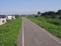 広瀬川沿いのサイクリングロードの写真