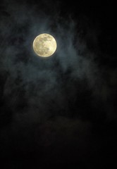 2007 Mid Autumn Fastivel's Moon
