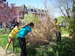 student volunteers help with the Hebert garden (courtesy of ONSL Restoration Group)