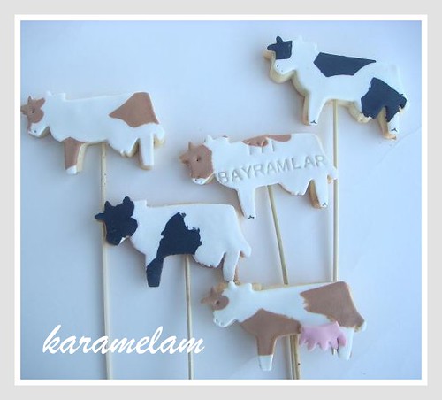 cow cookies for aid al adha